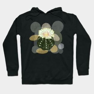 Astrophytum cactus Hoodie